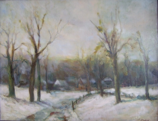 Hungarian village in winter